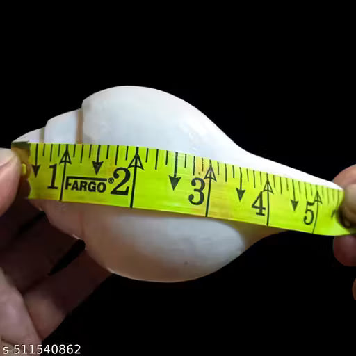 Shankh|Conch for Pooja